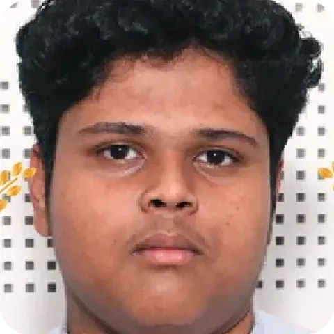 Bismaya Kumar Bisweswaray